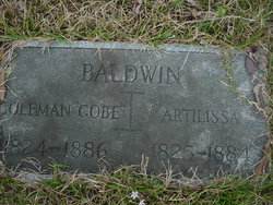 Artilissa <I>Sullivan</I> Baldwin 