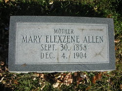 Mary Elexzene <I>Perry</I> Allen 