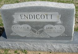 James A Endicott 