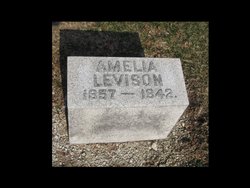 Amelia <I>Epstein</I> Levison 