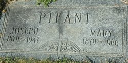 Joseph Pifani 
