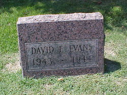David E. Evans 