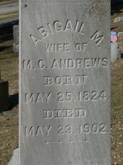 Abigail M Andrews 