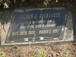 Wilson J Alexander 