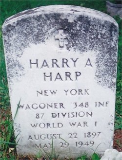 Harry Harp 