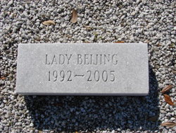 Lady Beijing 