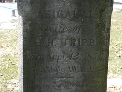 Abigal J. Tripp 
