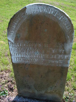 Mary Lucinda <I>Leftwich</I> Anderson 