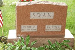 Clare Oscar Swan 