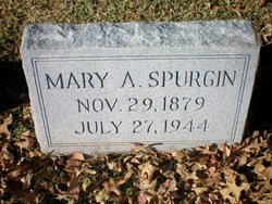 Mary A. <I>Owens</I> Spurgin 