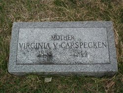Virginia Viola <I>Dressler</I> Carspecken 