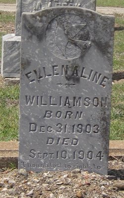Ellen Aline Williamson 