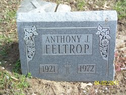 Anthony J Feltrop 