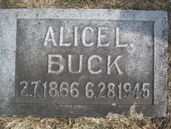 Alice L <I>Barck</I> Buck 
