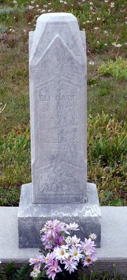 Eli Carr 