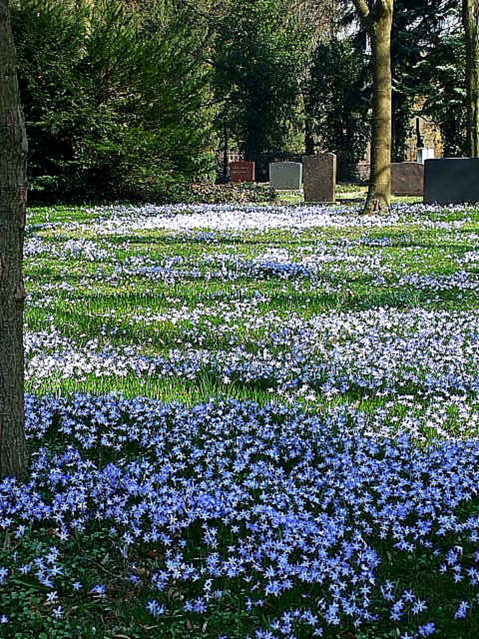 Friedhof Jerxheim
