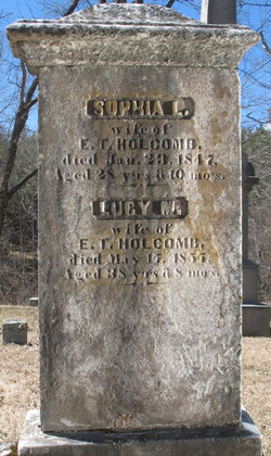 Sophia L Holcomb 
