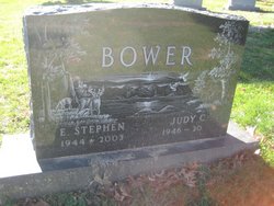 E. Stephen Bower 