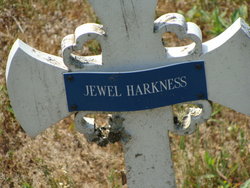 Jewel Harkness 