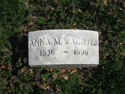 Anna Wachter 