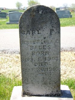 Carl F Bales 