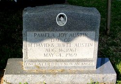 Pamela Joy Austin 