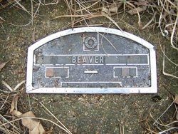 Beaver 