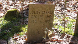 Julies Barnes 