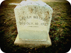 Sarah Watkins 