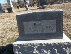Albert Herman Bear 