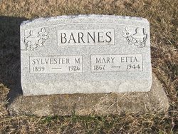 Sylvester M Barnes 