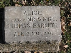 Alice Barnett 