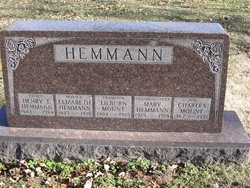 Henry Theodore Hemmann 