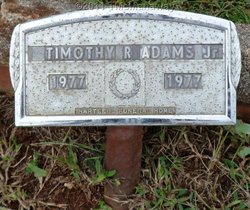 Timothy R. Adams Jr.
