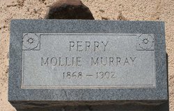 Mary Mollie E. <I>Murray</I> Perry 