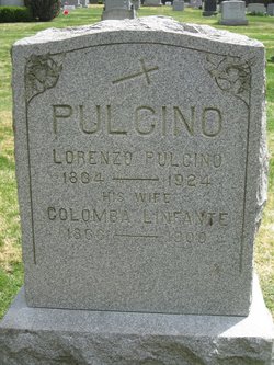 Colomba <I>Linfante</I> Pulcino 
