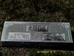 Alice <I>Fleming</I> Amos 