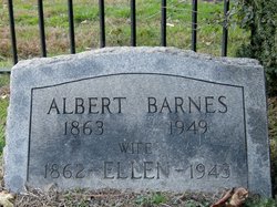 Albert Barnes 
