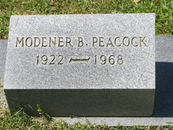 Modener <I>Brooks</I> Peacock 