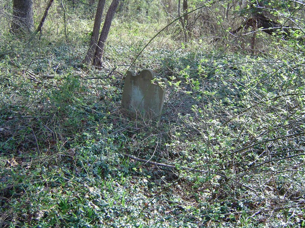 Kleinhoff Family Graveyard