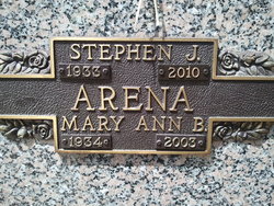 Stephen J Arena 
