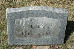 A. M. Holley 