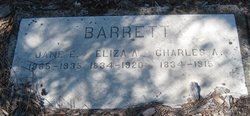 Jane E Barrett 