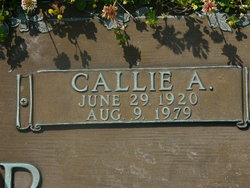 Callie Louisa <I>Andrews</I> Lister 
