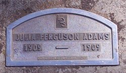 Julia Ferguson Adams 