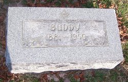 Buddy Unknown 