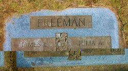 Julia Anne <I>Gilson</I> Freeman 