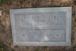 Thomas C Coy 