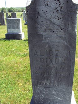 Alice Jane <I>Skinner</I> Dixon 