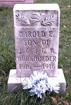 Harold E Burkholder 